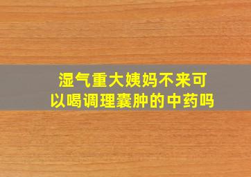 湿气重大姨妈不来可以喝调理囊肿的中药吗