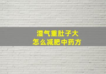 湿气重肚子大怎么减肥中药方