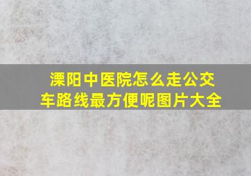 溧阳中医院怎么走公交车路线最方便呢图片大全