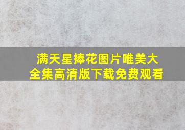 满天星捧花图片唯美大全集高清版下载免费观看