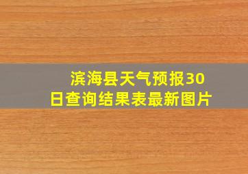 滨海县天气预报30日查询结果表最新图片