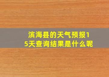 滨海县的天气预报15天查询结果是什么呢