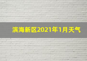 滨海新区2021年1月天气