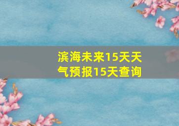 滨海未来15天天气预报15天查询