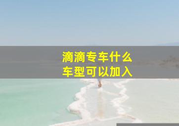 滴滴专车什么车型可以加入