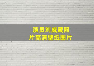 演员刘威葳照片高清壁纸图片