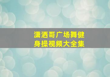 潇洒哥广场舞健身操视频大全集