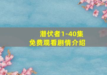 潜伏者1-40集免费观看剧情介绍