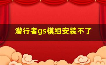 潜行者gs模组安装不了