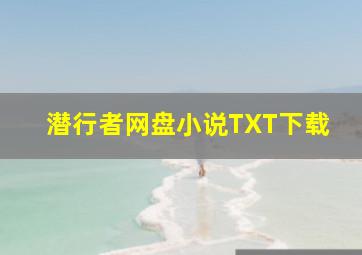 潜行者网盘小说TXT下载