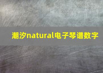 潮汐natural电子琴谱数字