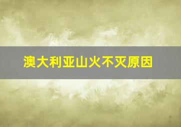 澳大利亚山火不灭原因