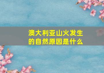 澳大利亚山火发生的自然原因是什么