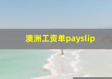 澳洲工资单payslip