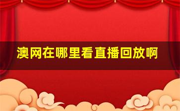 澳网在哪里看直播回放啊