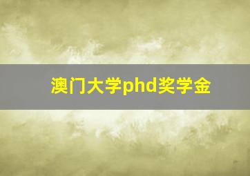 澳门大学phd奖学金