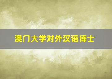 澳门大学对外汉语博士