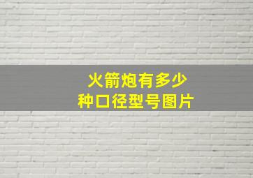 火箭炮有多少种口径型号图片