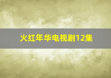 火红年华电视剧12集