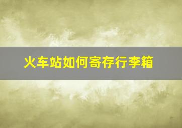 火车站如何寄存行李箱