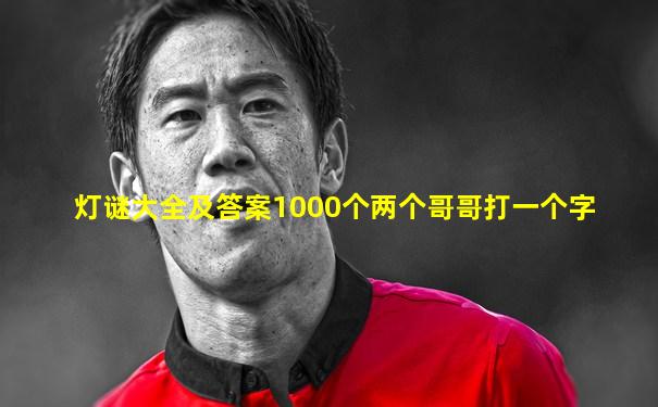 灯谜大全及答案1000个两个哥哥打一个字