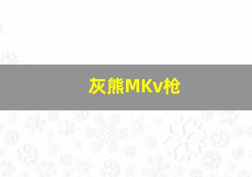 灰熊MKv枪