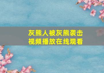 灰熊人被灰熊袭击视频播放在线观看