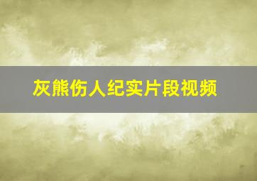 灰熊伤人纪实片段视频