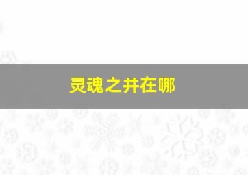 灵魂之井在哪