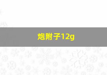 炮附子12g