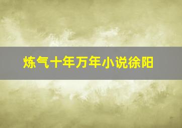 炼气十年万年小说徐阳