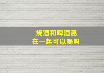 烧酒和啤酒混在一起可以喝吗