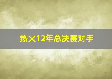 热火12年总决赛对手