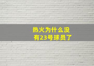 热火为什么没有23号球员了