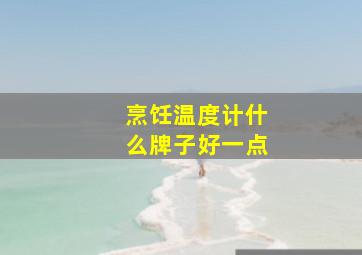 烹饪温度计什么牌子好一点