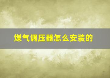 煤气调压器怎么安装的