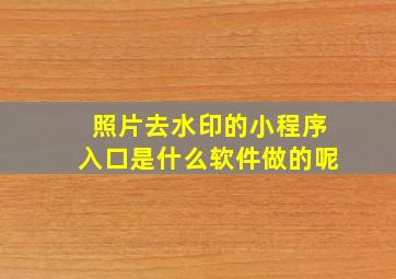 照片去水印的小程序入口是什么软件做的呢