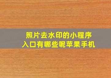 照片去水印的小程序入口有哪些呢苹果手机