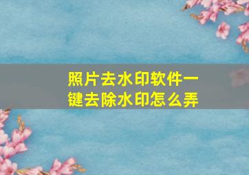 照片去水印软件一键去除水印怎么弄