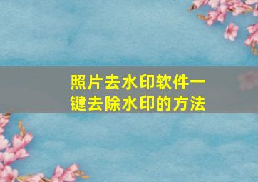 照片去水印软件一键去除水印的方法