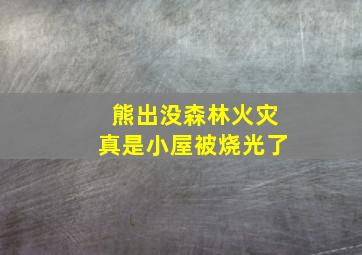 熊出没森林火灾真是小屋被烧光了