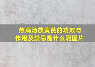 熬鸡汤放黄芪的功效与作用及禁忌是什么呢图片