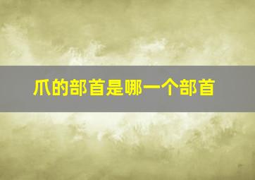 爪的部首是哪一个部首