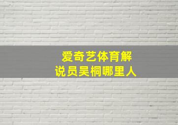 爱奇艺体育解说员吴桐哪里人