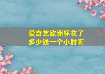 爱奇艺欧洲杯花了多少钱一个小时啊