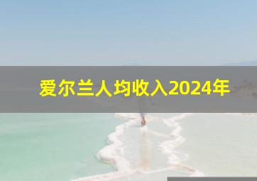 爱尔兰人均收入2024年