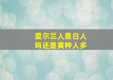 爱尔兰人是白人吗还是黄种人多