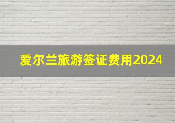 爱尔兰旅游签证费用2024