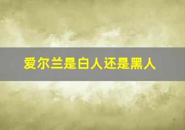 爱尔兰是白人还是黑人