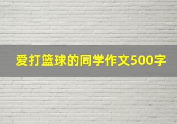 爱打篮球的同学作文500字